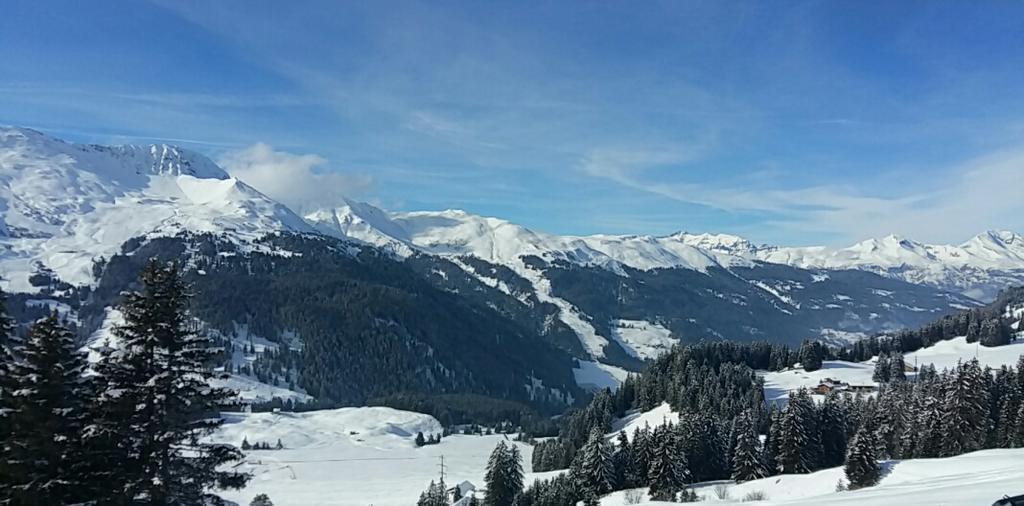 Hotel Staetzerhorn باربان المظهر الخارجي الصورة